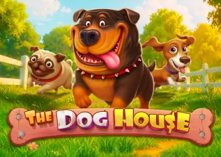 roll888 The Dog House ทดลองเล่นฟรี